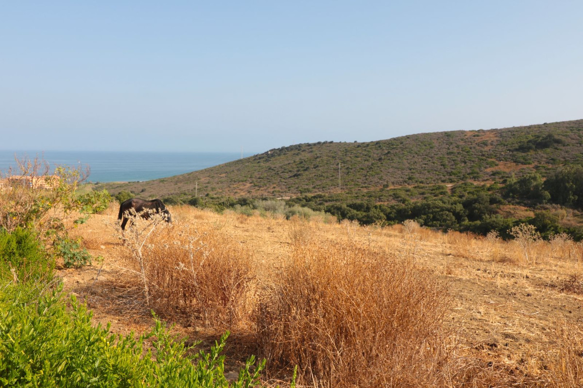 70a674a5aa842ed01b3bcc65cfdba4b6 - 2