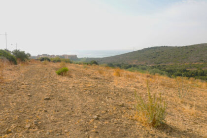 70a674a5aa842ed01b3bcc65cfdba4b6 - 3