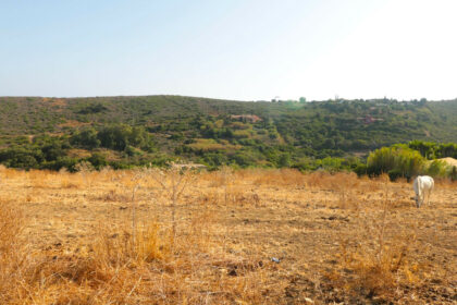 70a674a5aa842ed01b3bcc65cfdba4b6 - 7