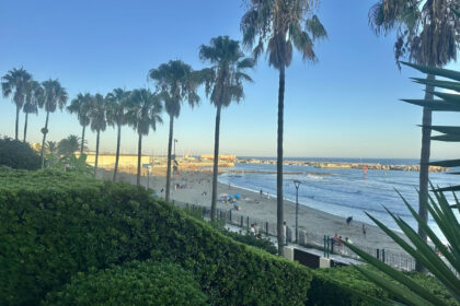 7168278e55098609abc7d76d60394717 - 28