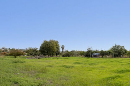 71a594a0bf620993808fa953685db242 - 19