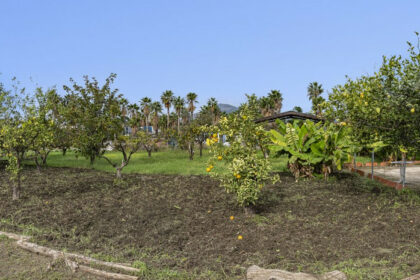 71a594a0bf620993808fa953685db242 - 21