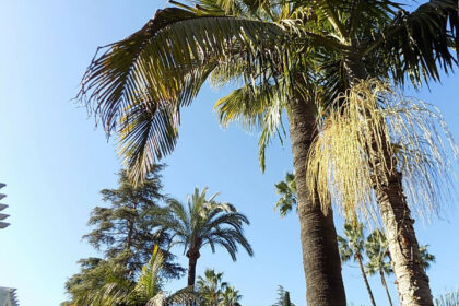 722d1f01c46e4f8381a65661943c3b8b - 28