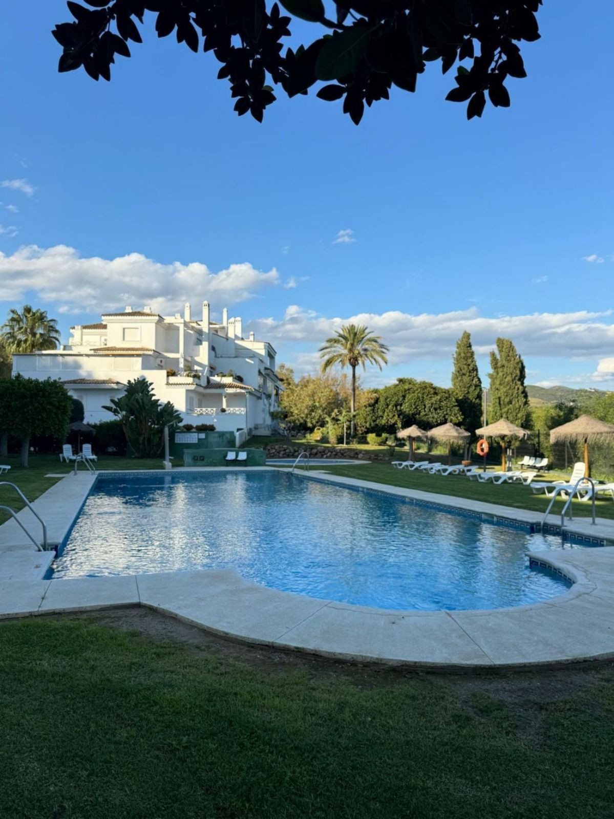 739f27074044ae8f270bc08c6298fe2d - 1