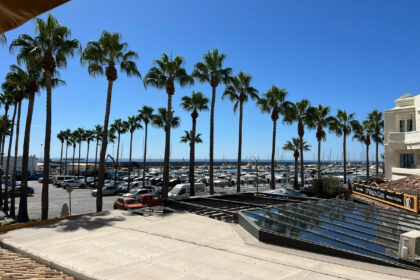 751230ee0ea6793a41cf9e0cd5db4ced - 1