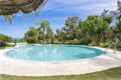 7538a50c947385a0fc44cf81df0c9162 - 24