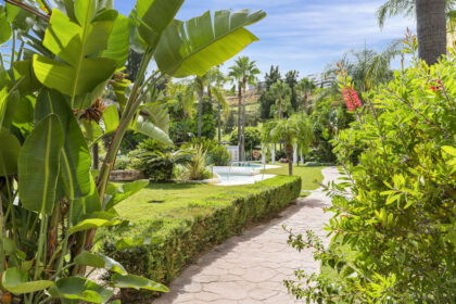 7538a50c947385a0fc44cf81df0c9162 - 25