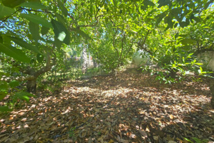 75d842b928bd303f05079d68c1c5989c - 62