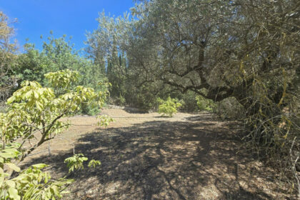 75d842b928bd303f05079d68c1c5989c - 65