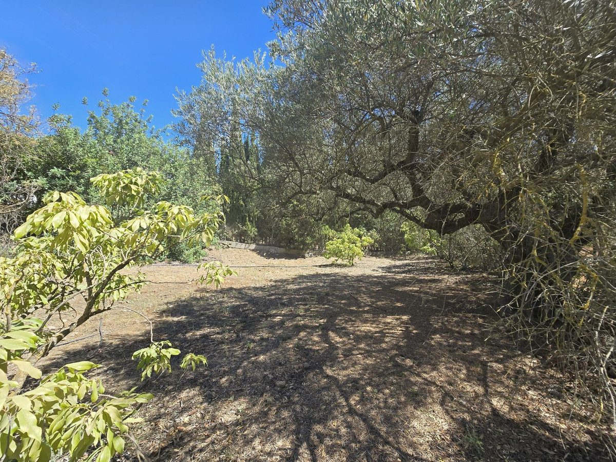 75d842b928bd303f05079d68c1c5989c - 65