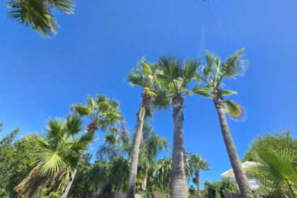 75d842b928bd303f05079d68c1c5989c - 67