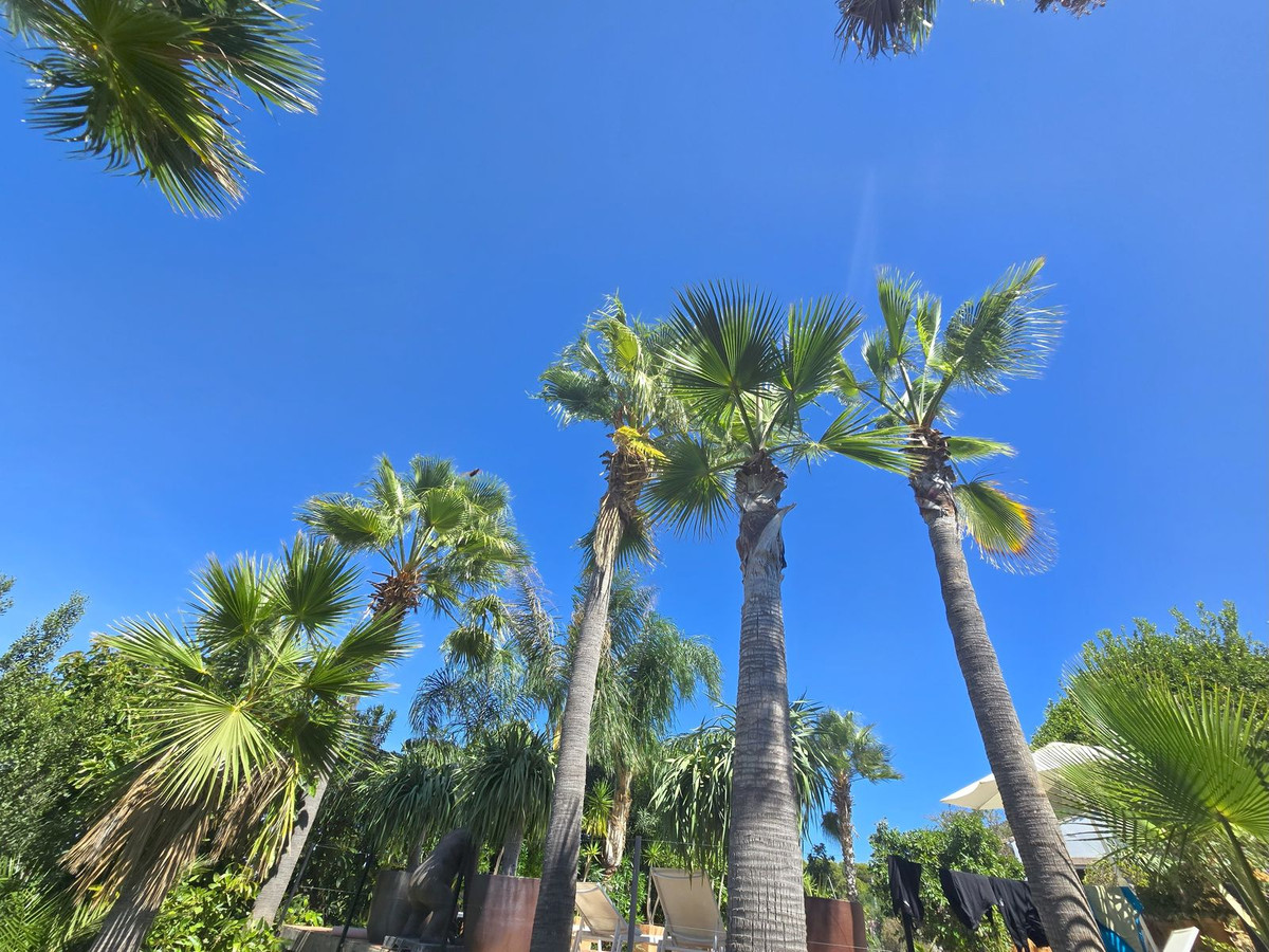 75d842b928bd303f05079d68c1c5989c - 67