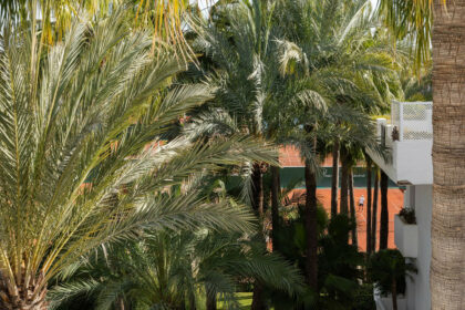 76dc1cd283068652e4ecdf31dc247ecd - 12