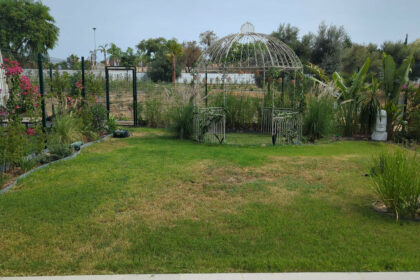 78190483ff1e67f3a99b81f6fea5dbdd - 11