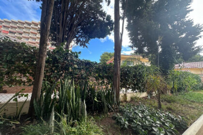 79aa8c22006f130a31f4c950c1e1c825 - 26