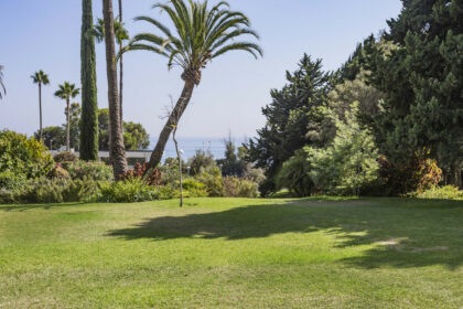 7a3b15dce7230422d2fd7eddef8be0a7 - 13