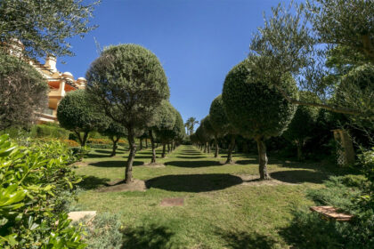 7b2fffda3846d2e73981d064a1f1f0f9 - 24