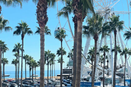 7f6bab7357d22d45c906a751265c12e1 - 21