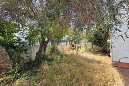 80026a69227f8e796e113861c0151e9a - 37