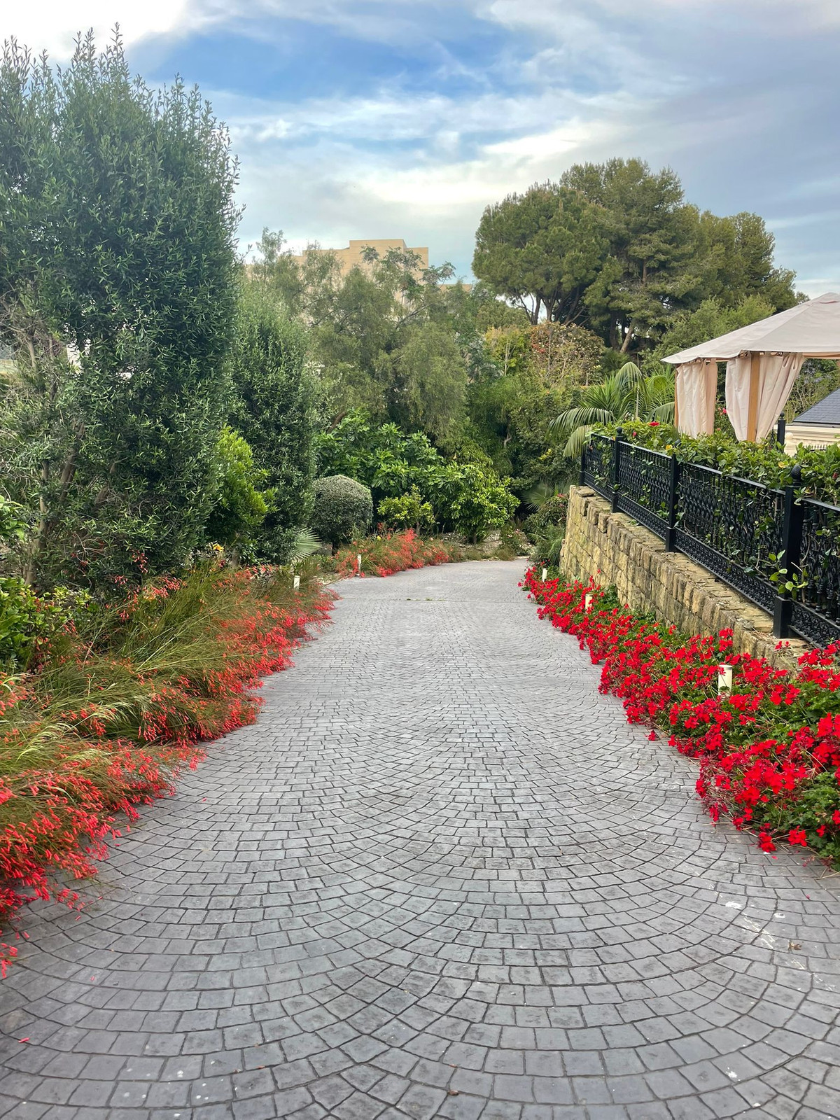 814459fc1bb435da4461761431ab188c - 2