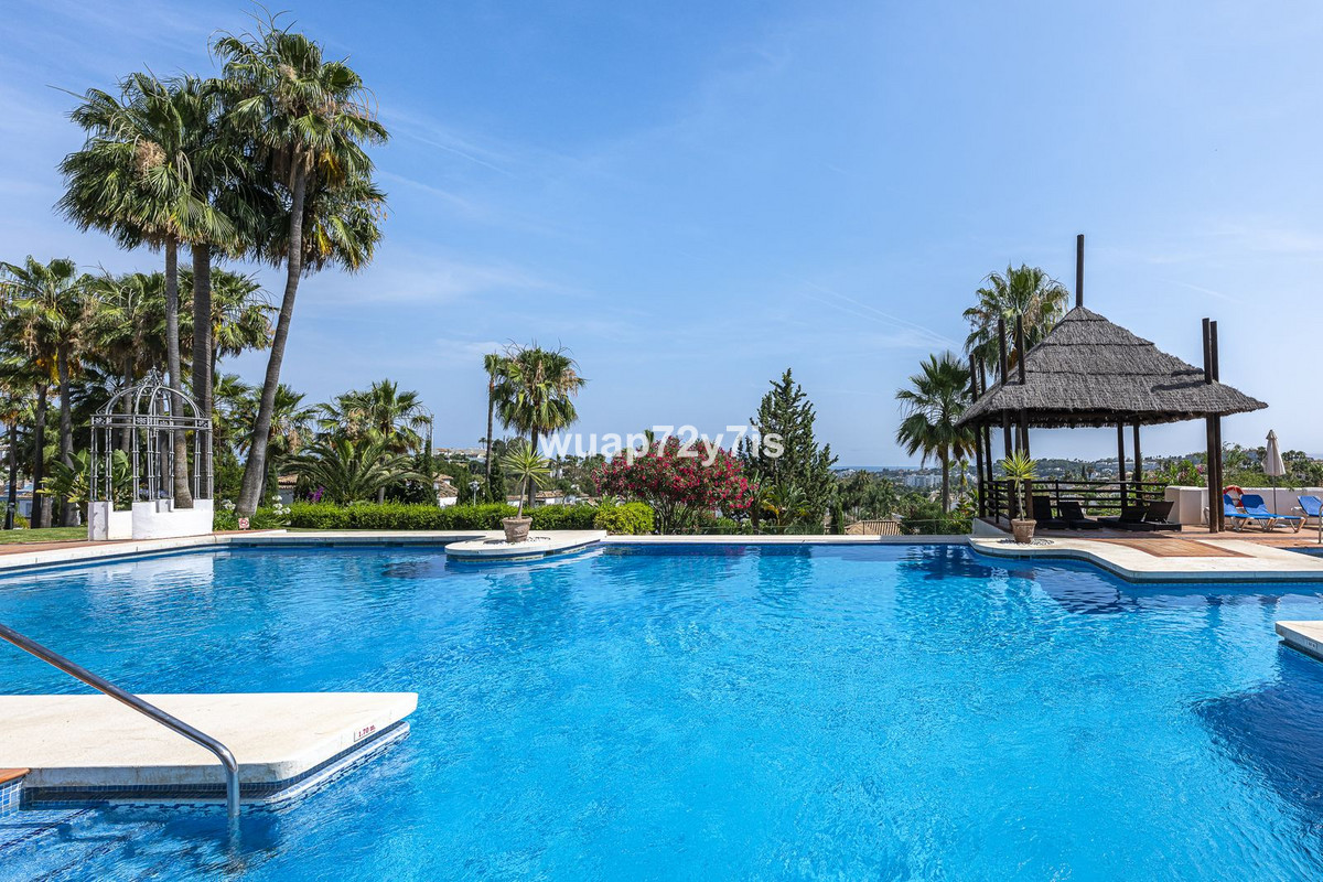 81cfc0ef802ba14ce276f26fcf553c89 - 20