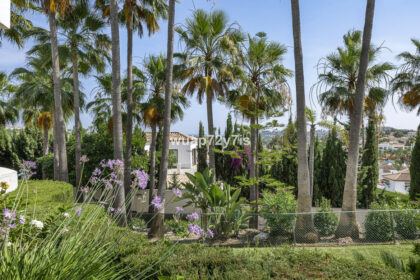 81cfc0ef802ba14ce276f26fcf553c89 - 21