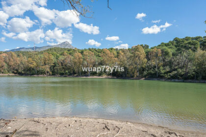 81cfc0ef802ba14ce276f26fcf553c89 - 23