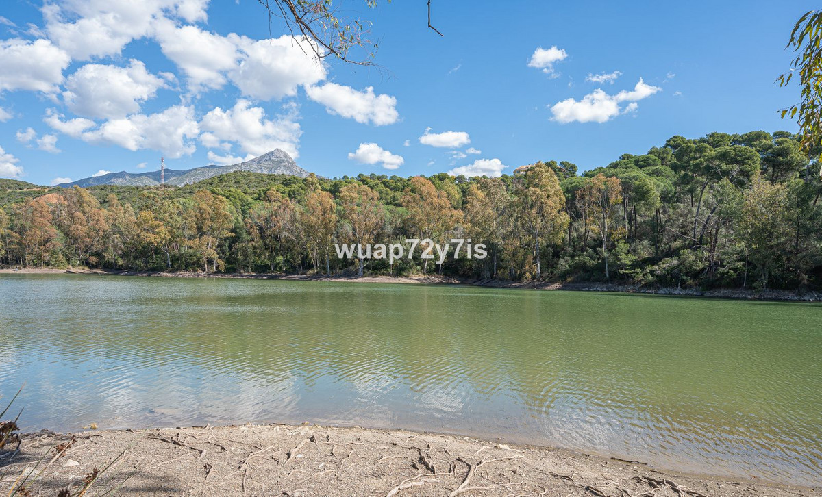 81cfc0ef802ba14ce276f26fcf553c89 - 23