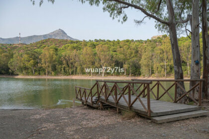 81cfc0ef802ba14ce276f26fcf553c89 - 24