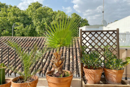 83fbd2bf017554a5a25198e2772101e3 - 28