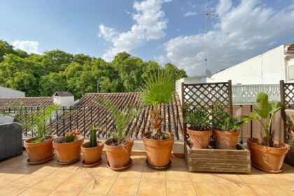 83fbd2bf017554a5a25198e2772101e3 - 29