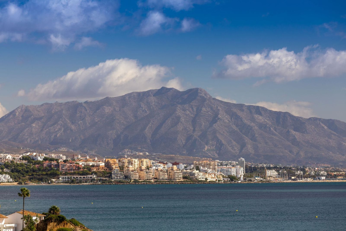 8450ff40a33822df0721d7e2e6a071d5 - 50