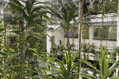 86989cb506a5f4d025ee0e63289505f0 - 23