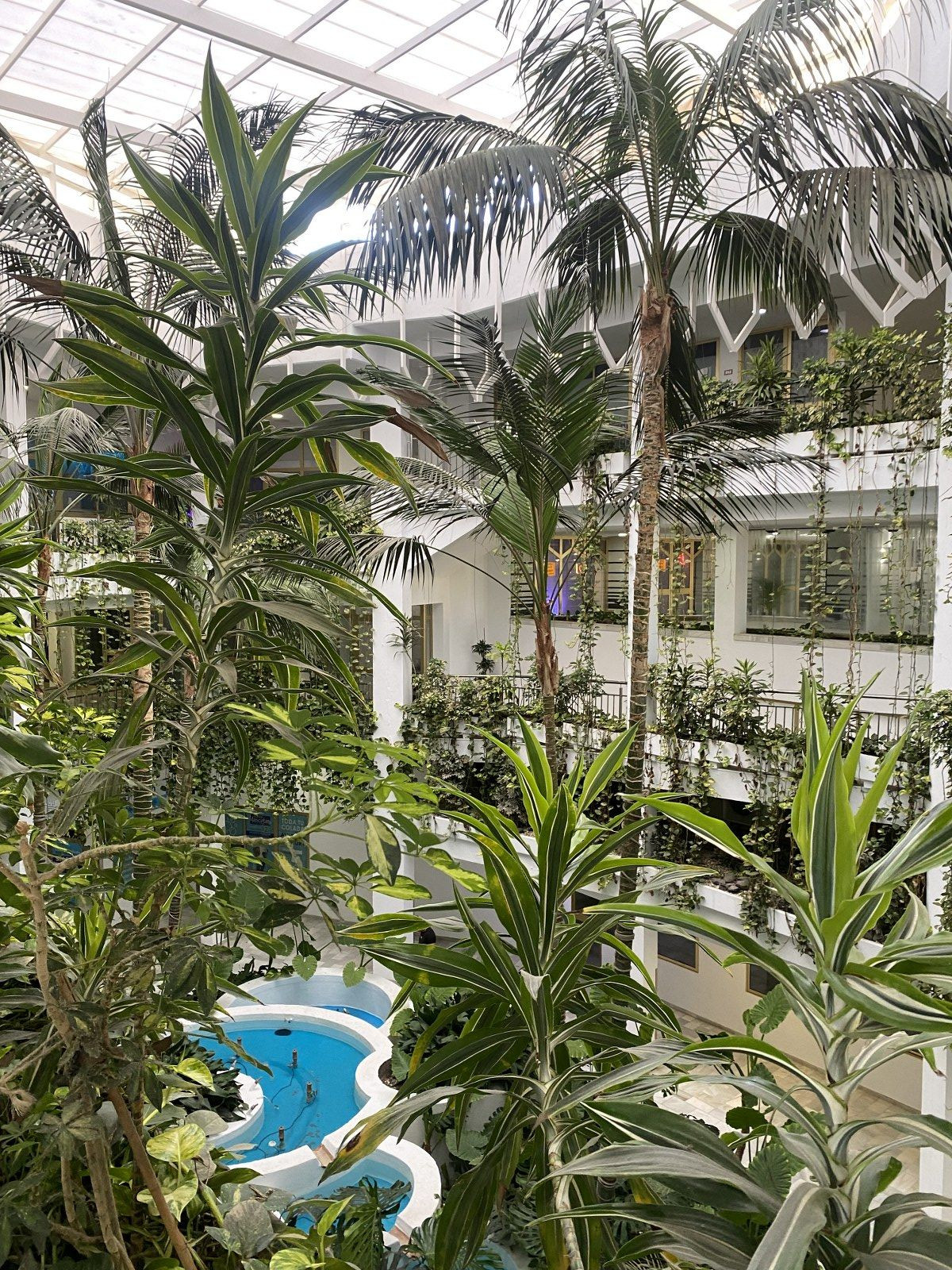 86989cb506a5f4d025ee0e63289505f0 - 23