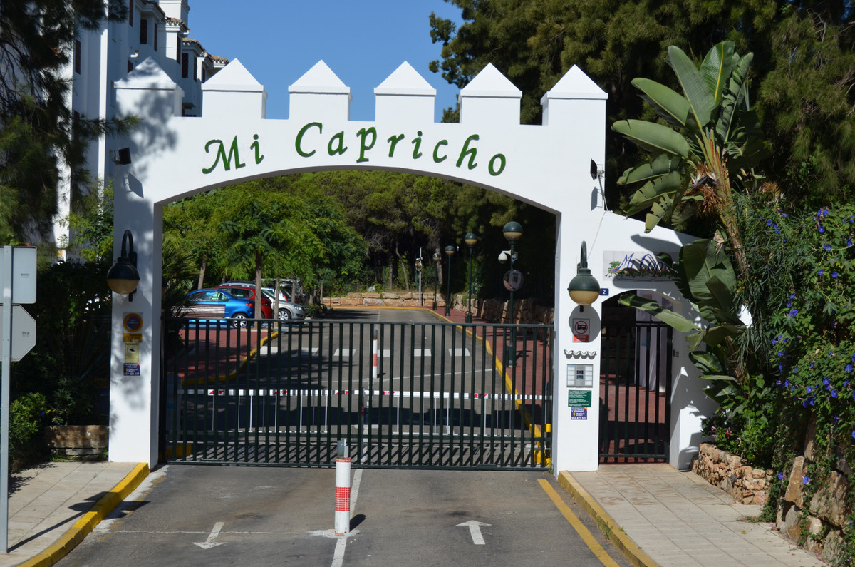 87dab81155450f5112bd5a3d9f66a371 - 42