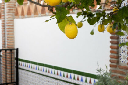 88fcd17c0f05bfdb81d847595e13cc7d - 24