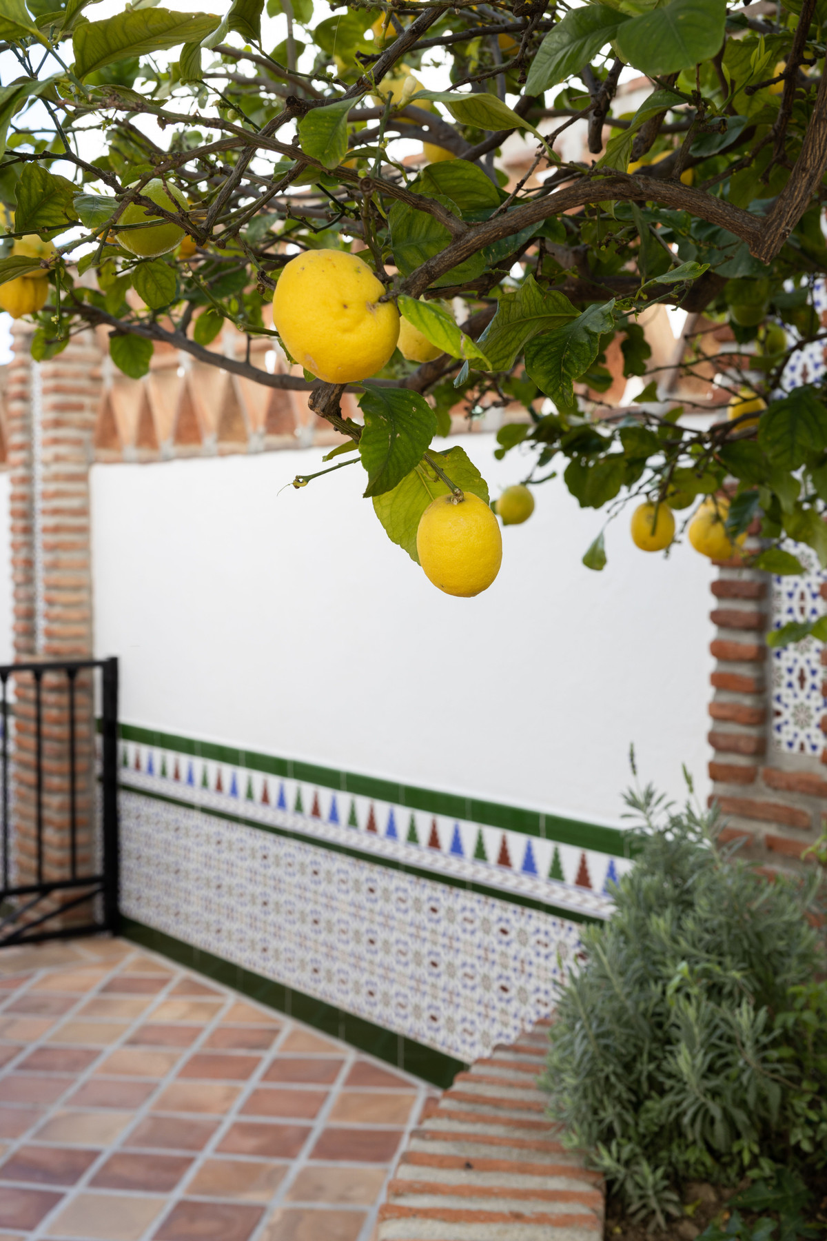 88fcd17c0f05bfdb81d847595e13cc7d - 24