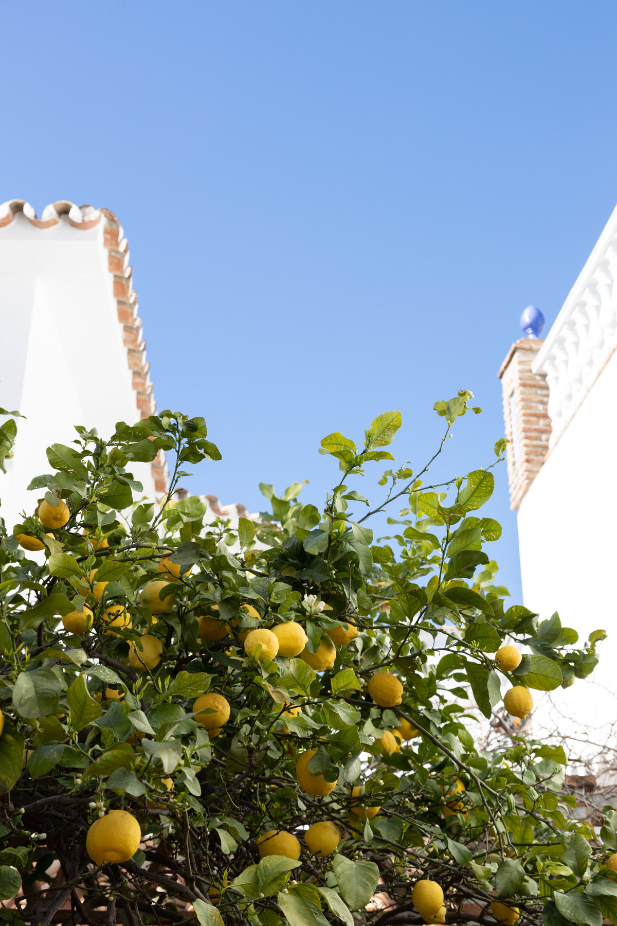 88fcd17c0f05bfdb81d847595e13cc7d - 43