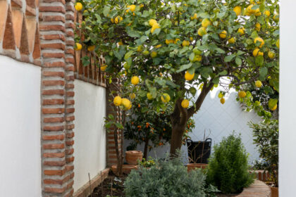 88fcd17c0f05bfdb81d847595e13cc7d - 49