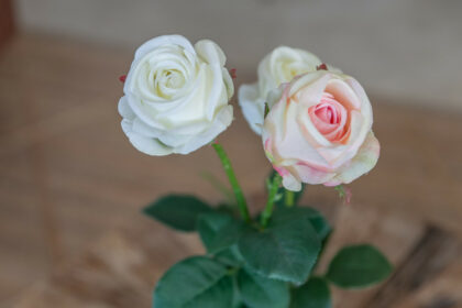 895021c8412313ca57628130adb1b63a - 49