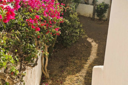 8a027f4ca53aafd930471de3e1978759 - 13