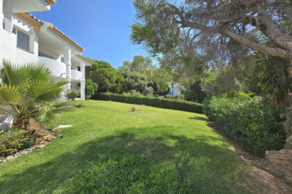 8b62a1d9b414b62f53bbb64a4547acc9 - 26