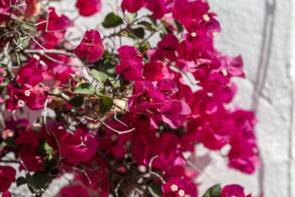 8bb392d811349946e4a20c34de60600d - 3