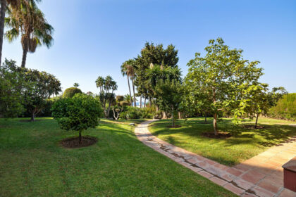 8bf827895102a5466fae43123751d2ed - 17