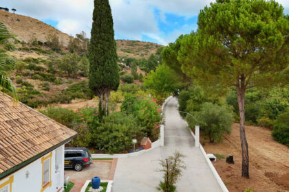 8e4b06806c2d9a2bf271a2e27016f919 - 4