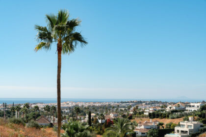 8f2d5407261ac910467e6dcf3f123b7f - 18