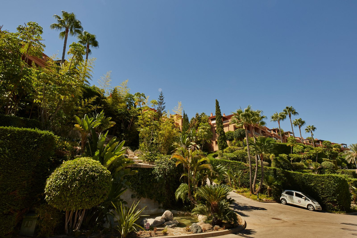 8fde94388eea4db250d255924f3fcc32 - 24