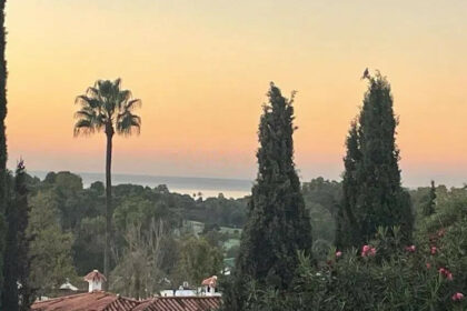 91b9324b67e8f35a8e85534723138a1c - 24