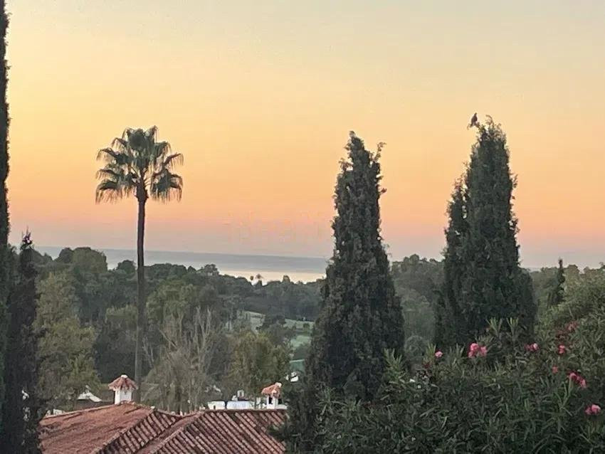 91b9324b67e8f35a8e85534723138a1c - 24