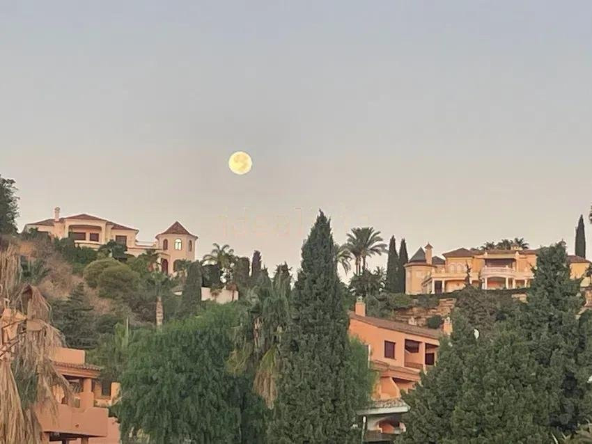 91b9324b67e8f35a8e85534723138a1c - 25